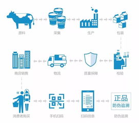食品安全與網絡工程 科技護航健康餐桌