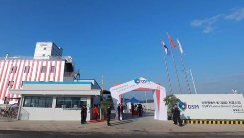 帝斯曼動(dòng)物營(yíng)養(yǎng)與保健衡陽(yáng)布局，加速大中華區(qū)預(yù)混料市場(chǎng)拓展