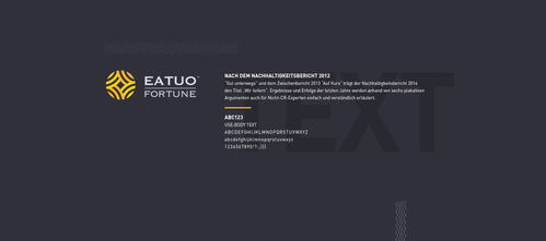 塑造卓越形象，鑄就財富投資企業的品牌之光