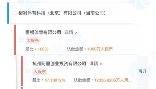 第二類增值電信業(yè)務(wù)概覽 合規(guī)運(yùn)營(yíng)與市場(chǎng)機(jī)遇